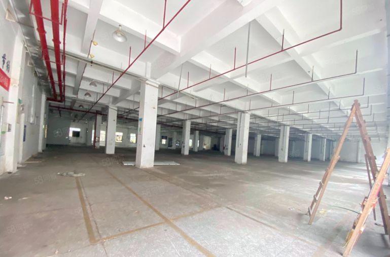 龙岗爱联500平起分至10000平厂房出租仓库出租