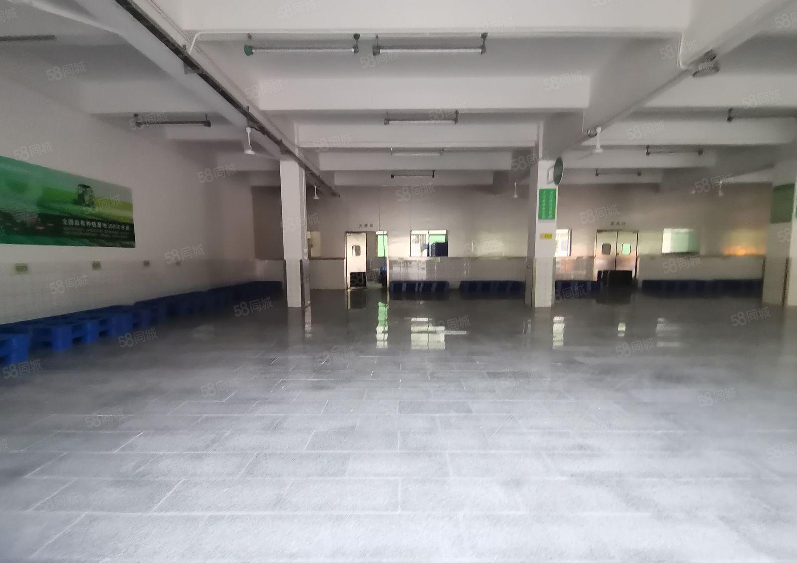 平湖白泥坑一楼1500平标准冷库冻库仓库厂房出租可分租空地大