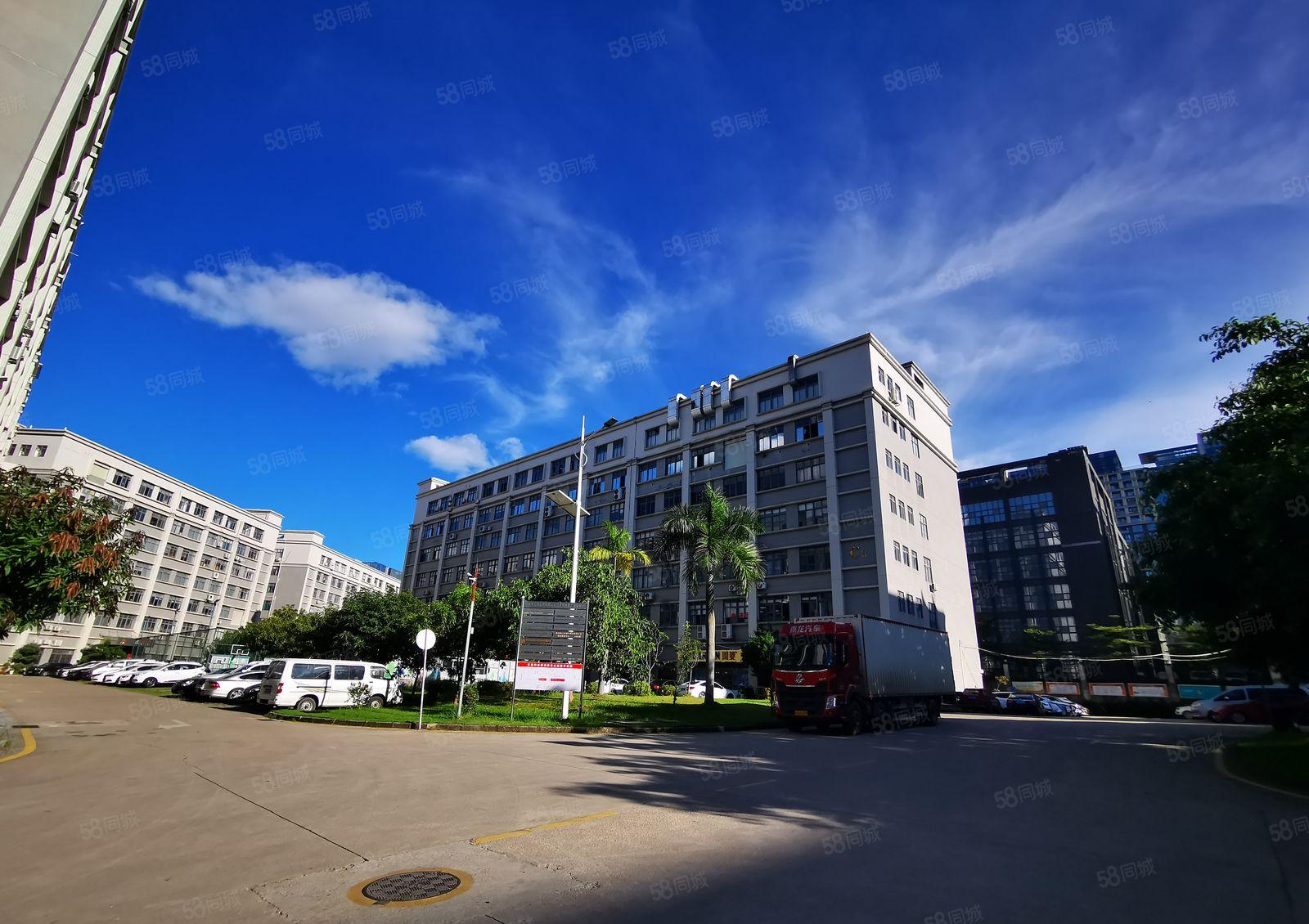 26元清盘价！坂田岗头200平起分，办公室厂房仓库低价出租