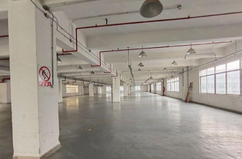 龙岗办公贸易电商厂房仓库加工及研发2000平出租