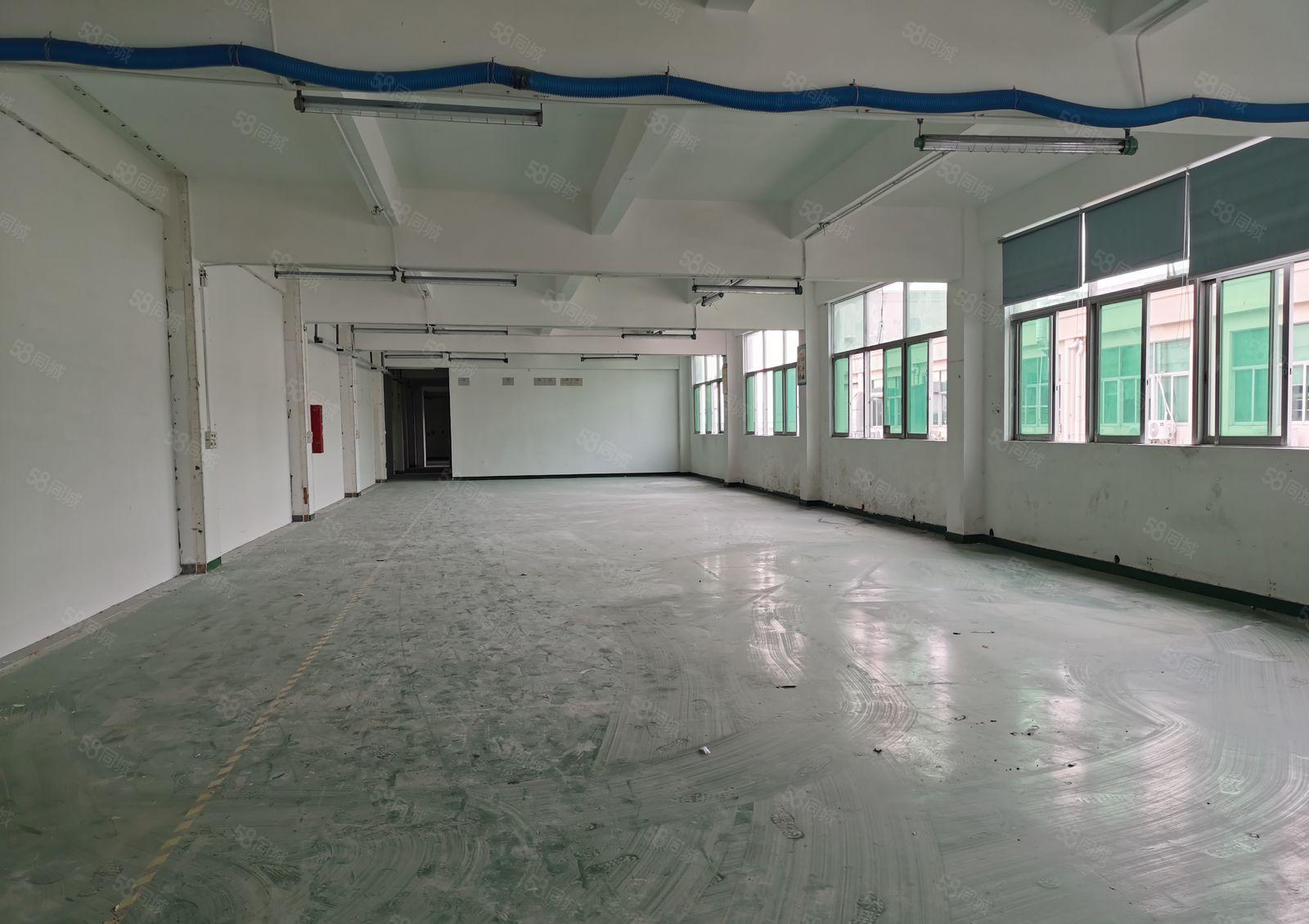 岗头地铁站135平起租办公仓库厂房出租，已隔好，实用高