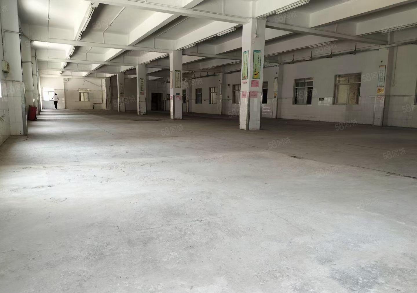 塘坑地铁站200米一楼厂房招租