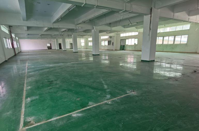 平湖富民工业区独门独院厂房20000平方出租可分租