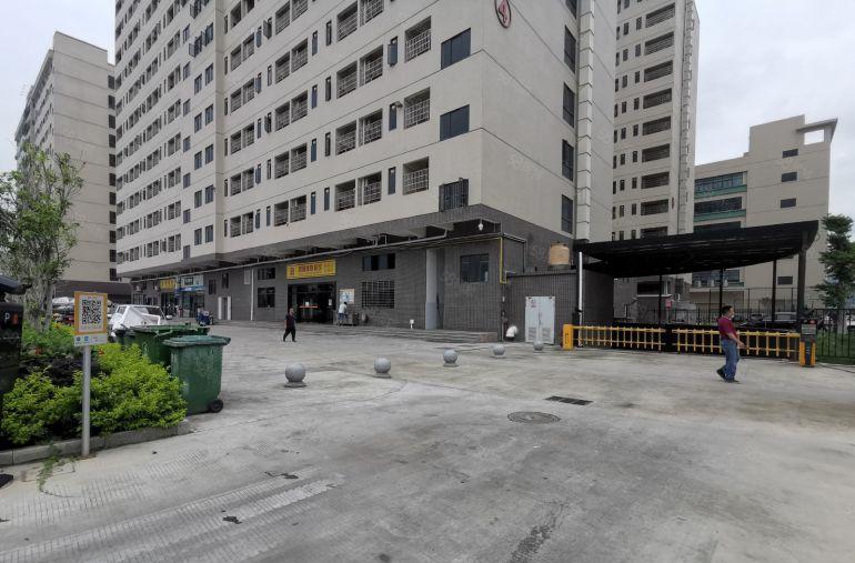 100平起龙岗坪地5000平高薪工园区带装修办公仓库厂房出租