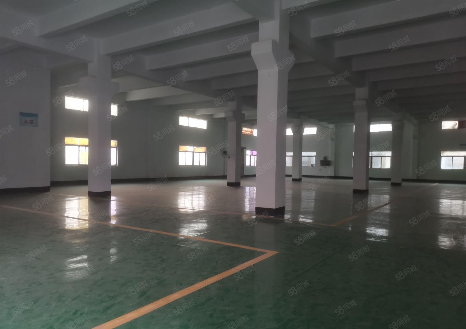 平湖富民标准一楼2000平方带牛角厂房出租