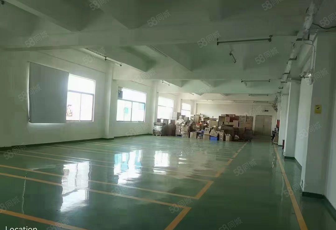 龙岗新出大型工业园区带精装修2000平厂房出租可分租地铁附近