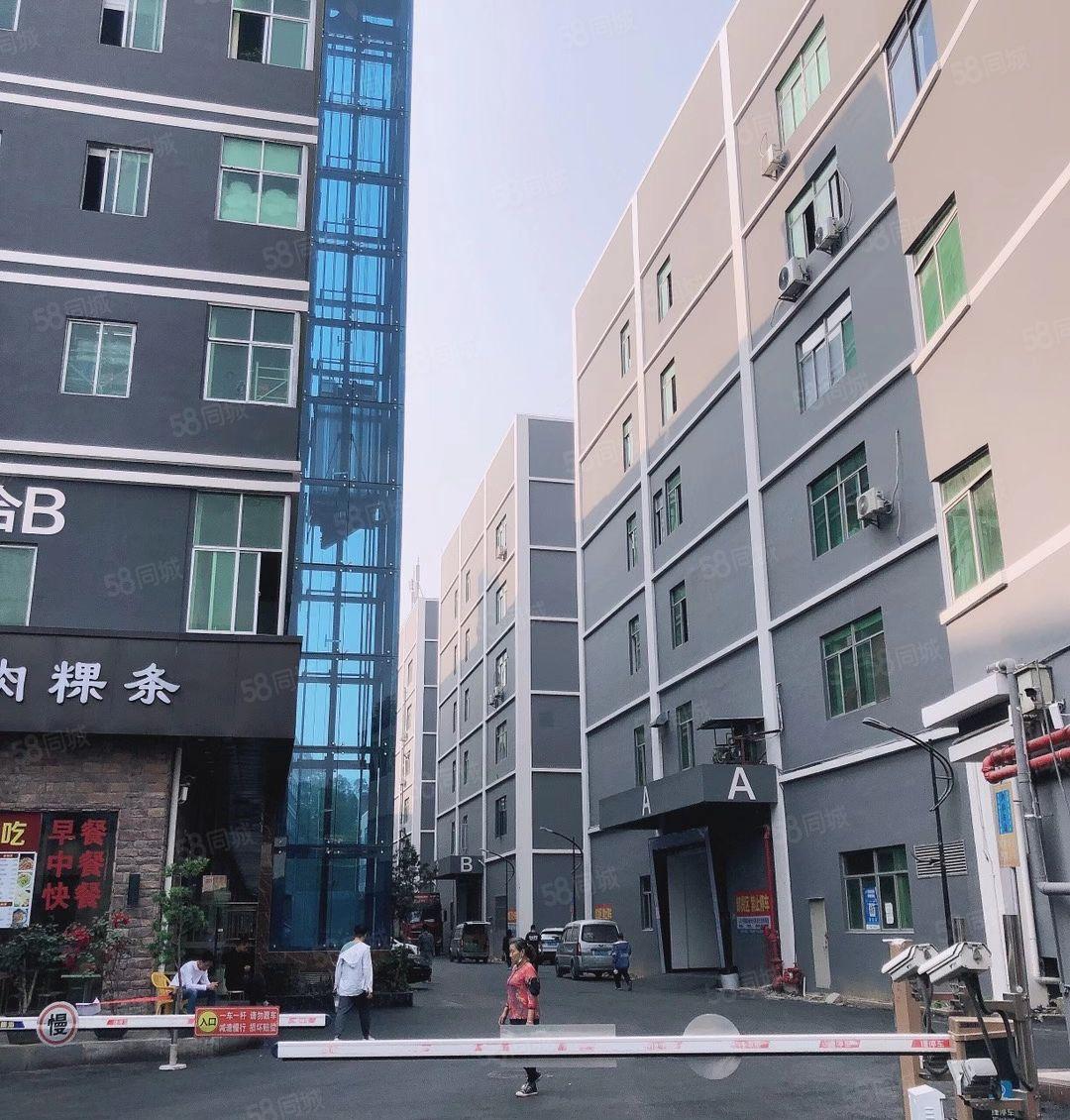 坂田杨美地铁口电商园厂房小面积50平起至2400平出租