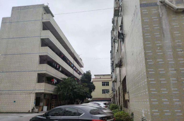 平湖辅城坳原房东1楼500平方厂房仓库出租