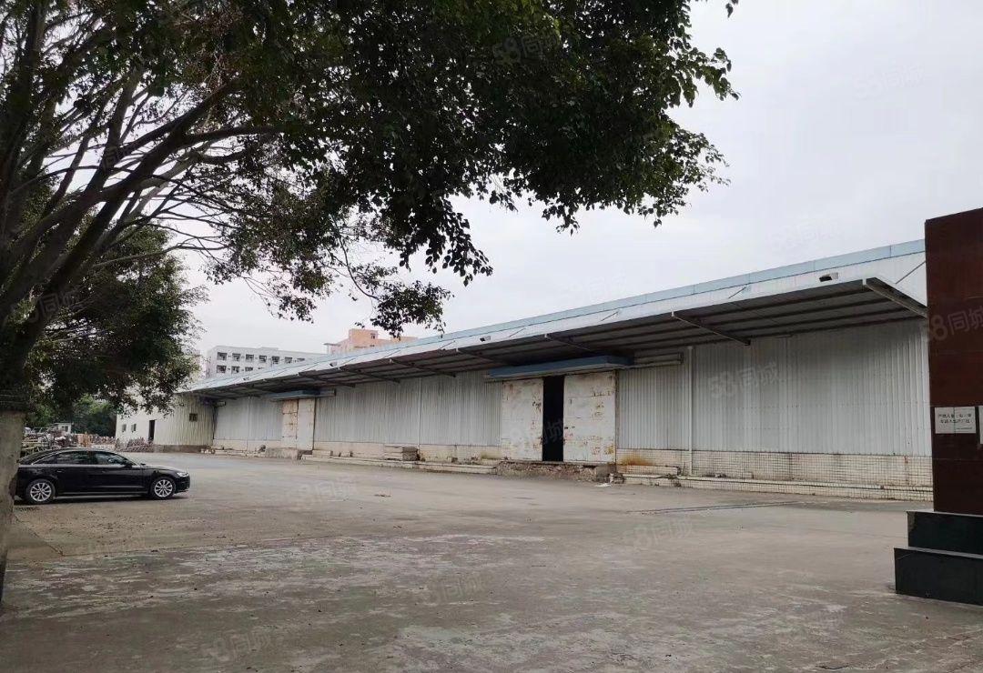 龙岗10米高钢构厂房4000平方米空地5000平方米