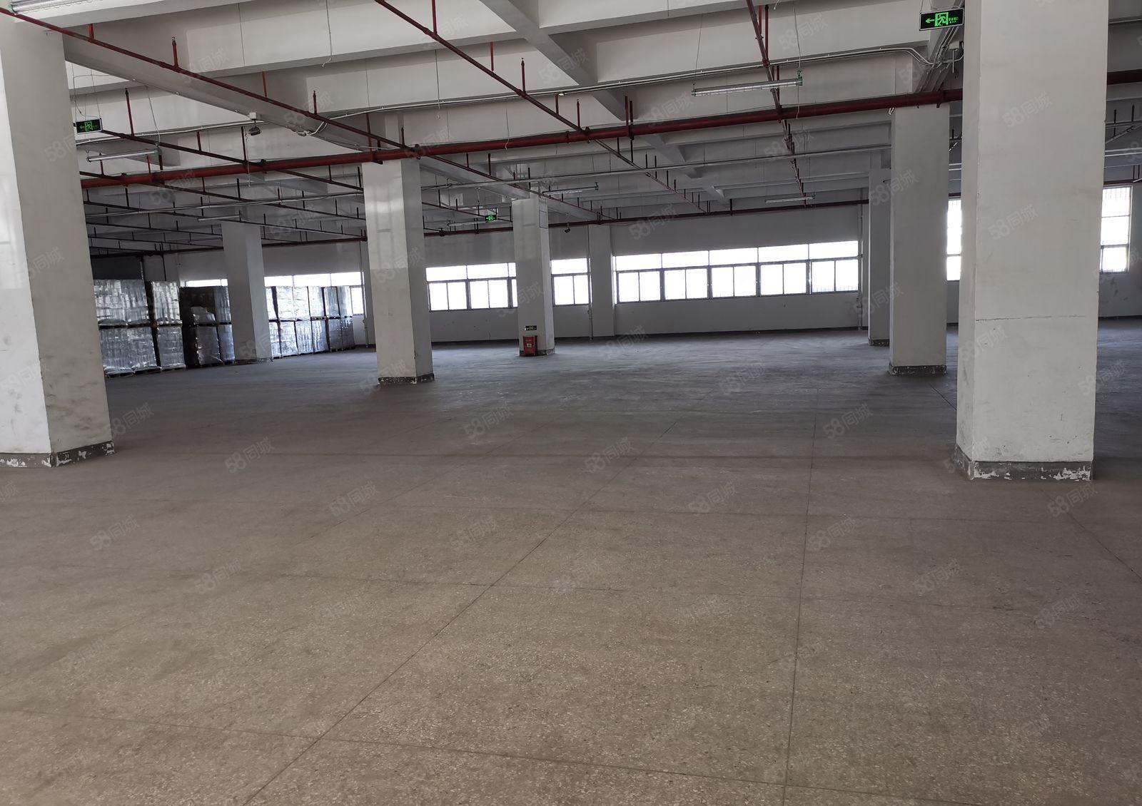 龙岗新出1000平二楼整层厂房报价20元一平200平起分租