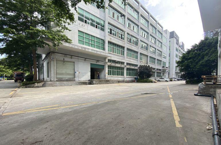 原房东带红本龙岗成熟工业区新出400平精装办公仓库厂房出租