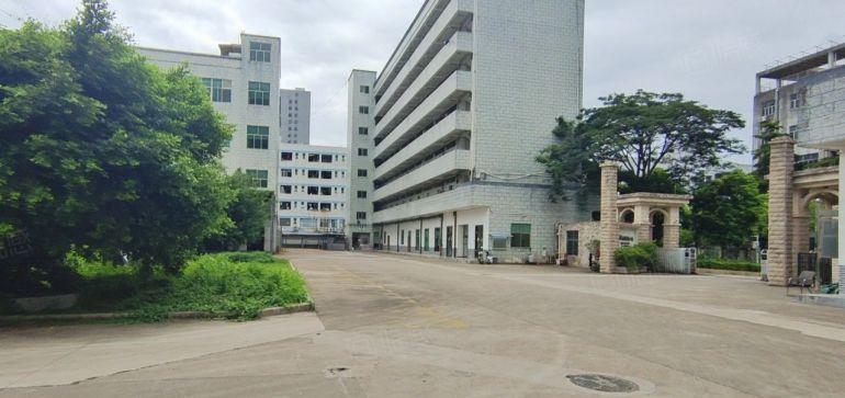 龙岗宝龙高新科技园45000平方厂房仓库出租可分租