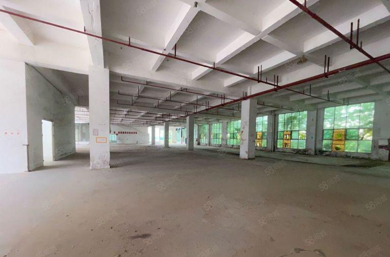 横岗特价20元地铁站独门独院 房东直租空地8000平 大路旁