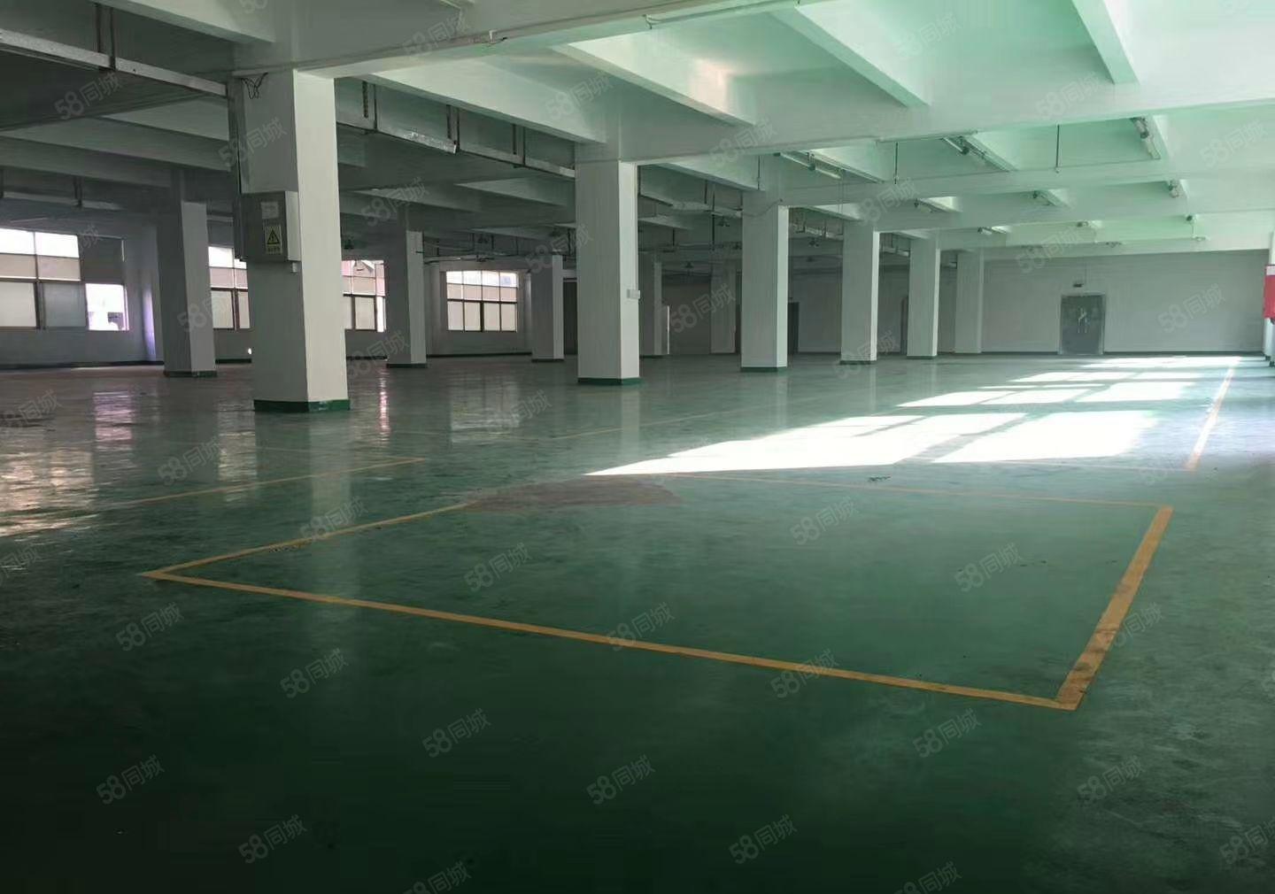 平湖辅城坳工业区新出4800平方独门独院厂房招租