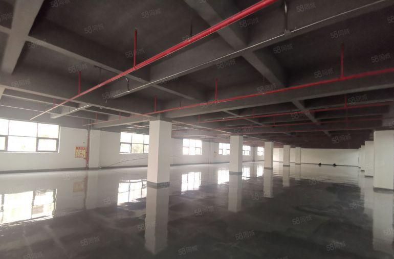 坂田杨美地铁口电商园100到2000平办公仓库厂房出租