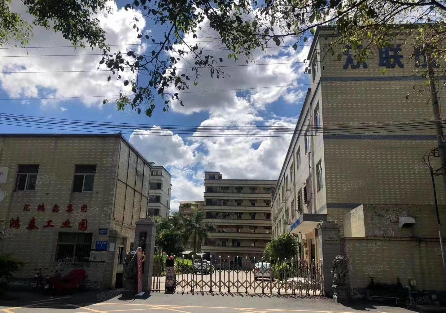 龙岗新出独院900到30000平出租可以分租带装修原房东厂房