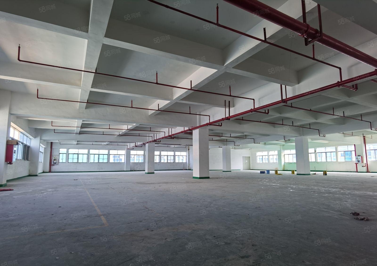 1000平起租！坂田国际中心附近新出2200平米厂房仓库出租