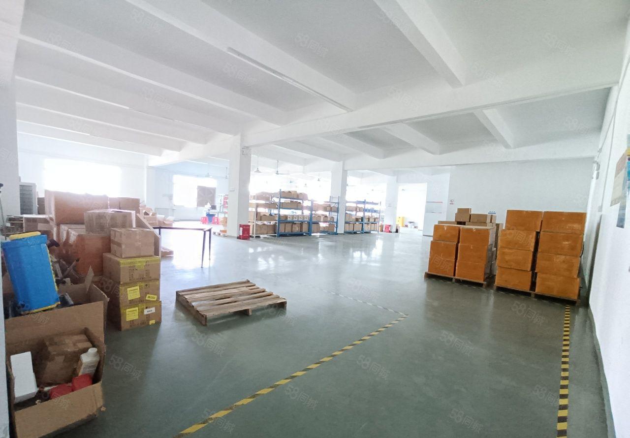 龙岗南联爱联1000平厂房出租，带精装修办公室地坪漆空地大！