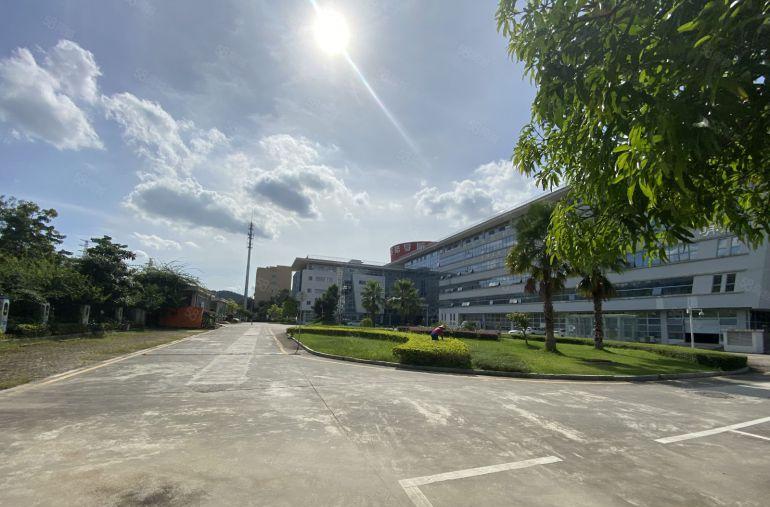 超长免租层高6米宝龙原房东工业区一楼2000平方仓库厂房出租