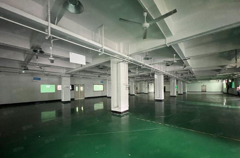 横岗四联一楼厂房2400平方米仓库出租原房东实际面积合同9年