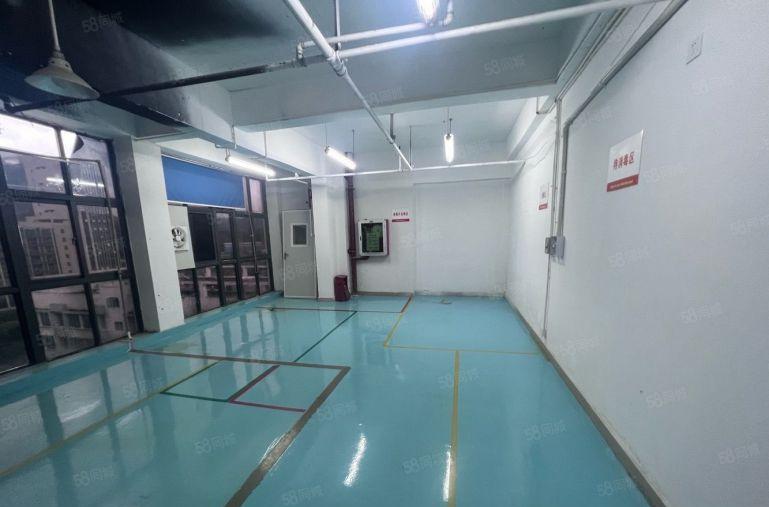 龙岗宝龙工业区新出一楼1000平无尘车间精装修办公室厂房出租