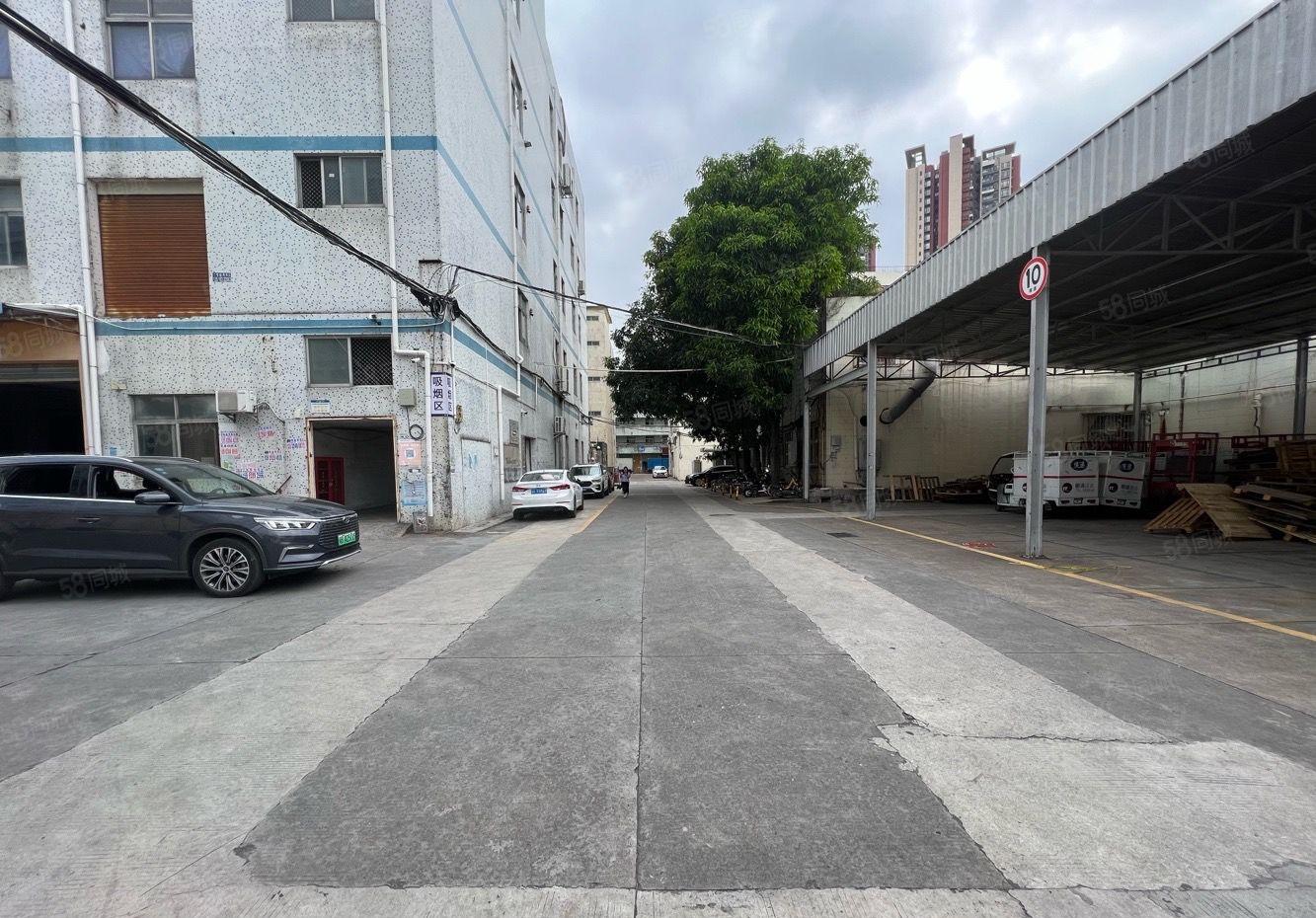 原房东！地铁口！35含税出租一楼红本面积1450平适合仓储物