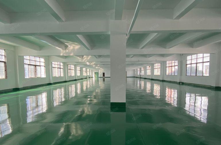 龙岗新生原房东独院厂房5000平米，大小可以分租，可办环评