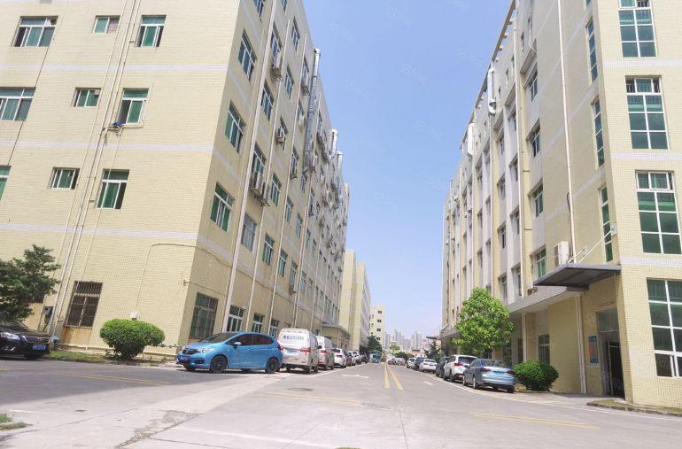 南联原房东工业园新出楼上800平精装修办公仓库厂房低价出租