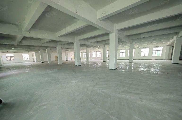 20元起租龙岗宝龙工业园新出一楼二楼1750平厂房出租可分租