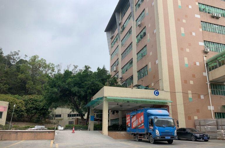 坂田上雪楼上1000平精装修厂房出租仓库出租可办公大小可分租