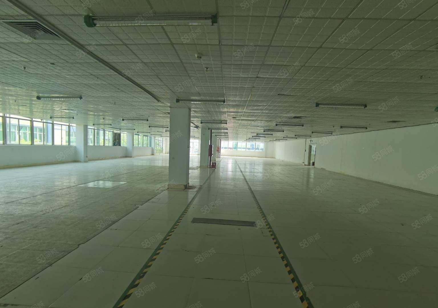 坂田五和原房东独门独院独栋厂房出租一楼仓库出租可分租小面积