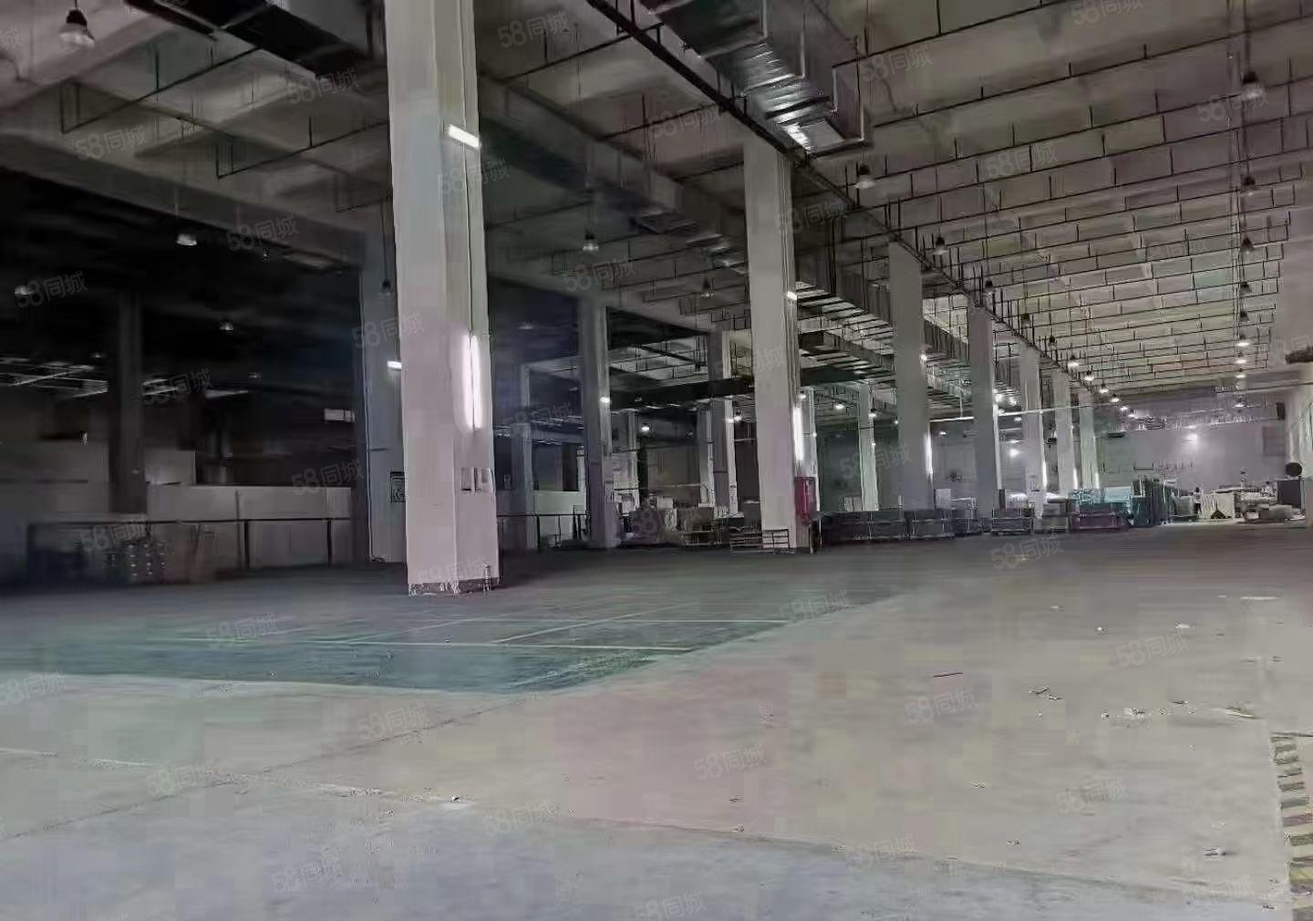 宝龙红本厂房一楼24000m2高度8米可分租用电按需