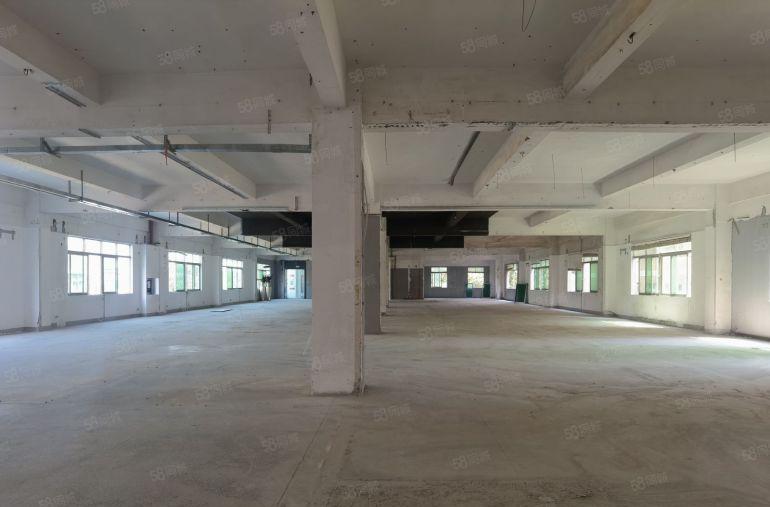 龙岗宝龙六路电子生物科技医疗原房东红本独院5700平分层出租