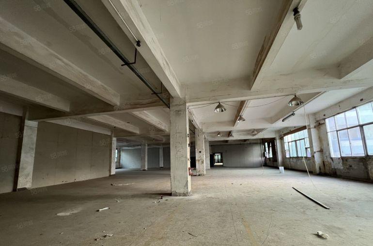 同乐原房东一楼厂房1200平方仓库出租带牛角空地大好招工