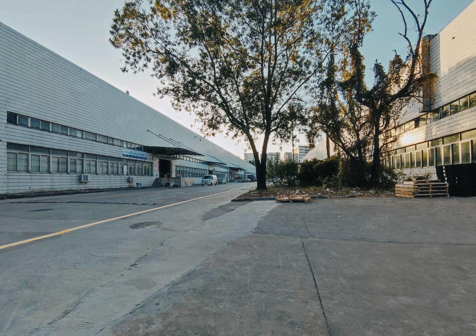 深圳坂田杨美地铁站附近一楼600平报价30园区空地大车可调头