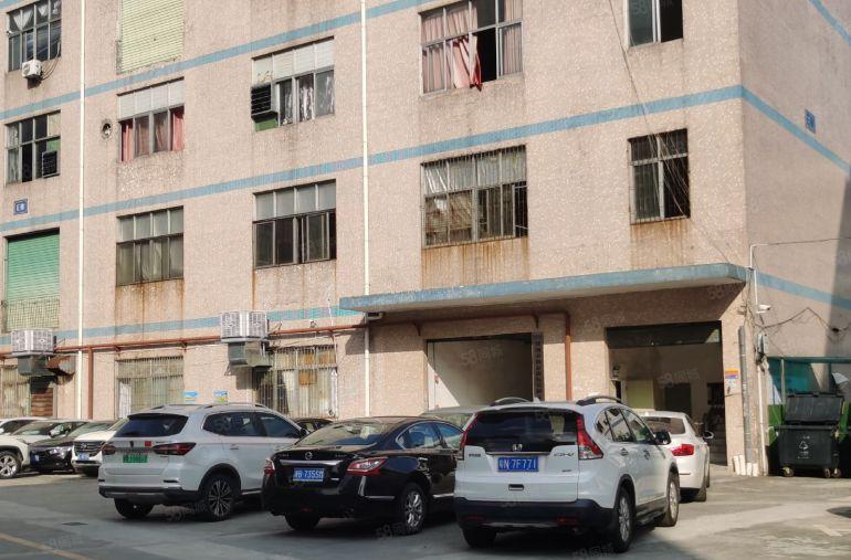 平湖，1000平，原房东，可办环评，大型园区，大车进出方便