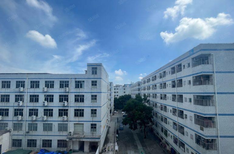 出租一手房东实际面积1200平精装，龙岗大道边地铁口500米