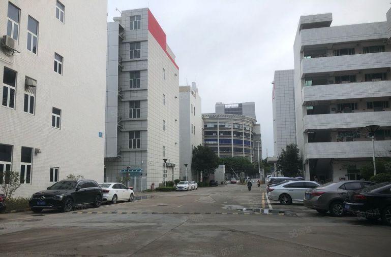 坂田五和地铁站厂房1000平可分租带装修免中