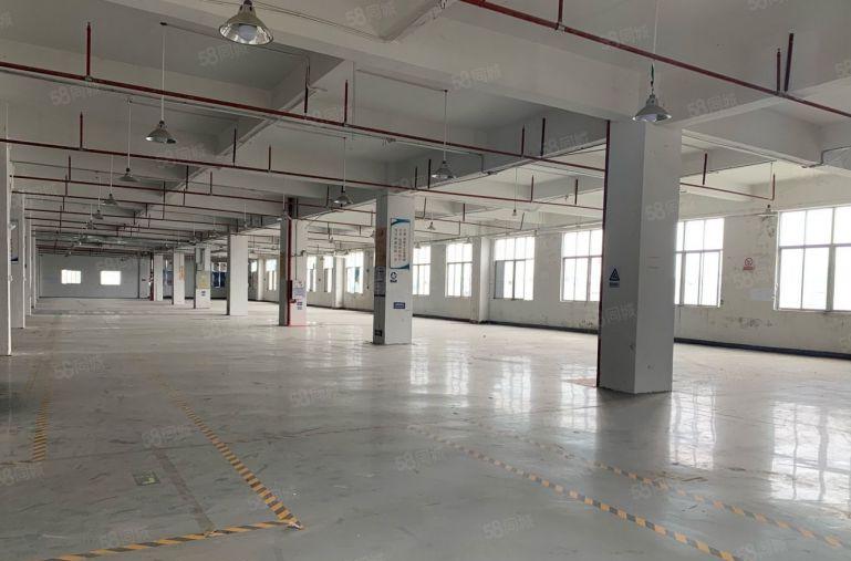 独门独院原房东厂房急租！大小面积可分红本厂房