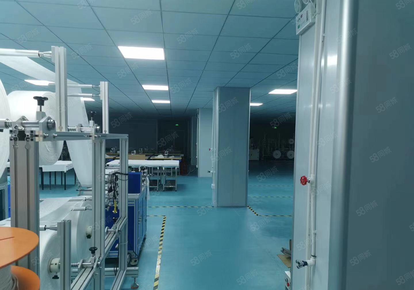 龙岗淘宝电商办公仓库贸易产业园100平200平400平出租