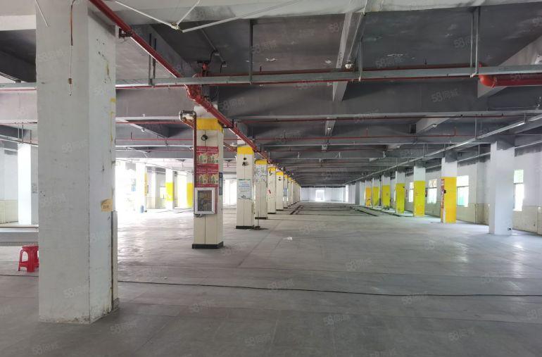 龙岗龙东地铁口独院厂房仓库3300平出租可办环评场地大易招工