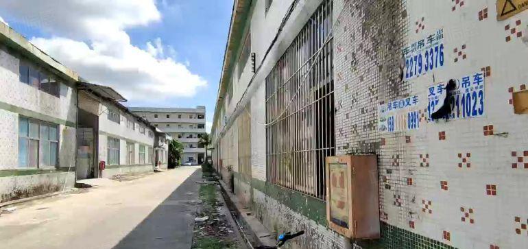 坪地中心村工业区原房东300平米重工业钢结构厂房物流仓储出租