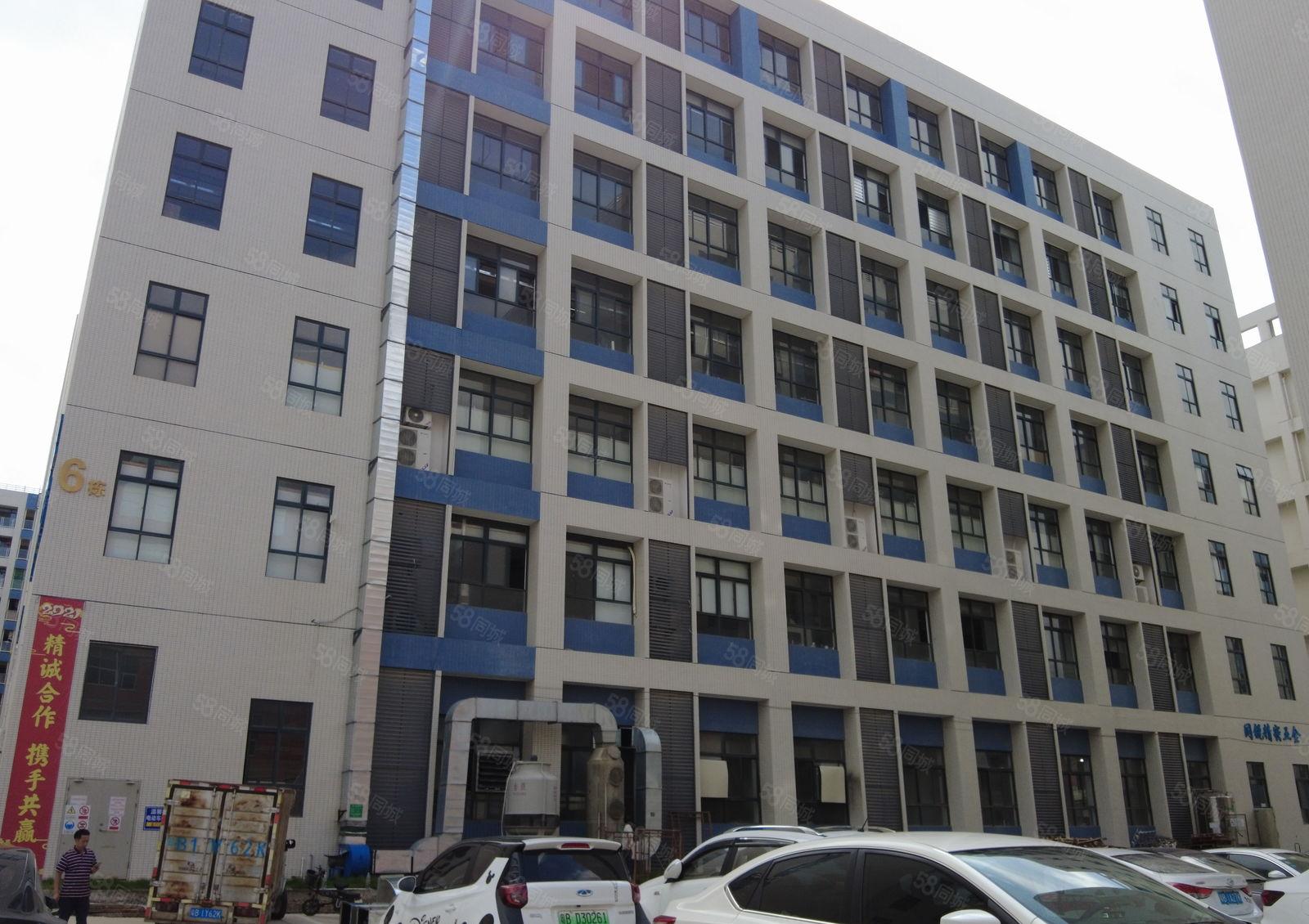 坂田上雪200至4000平原房东红本厂房出租1万平空地大