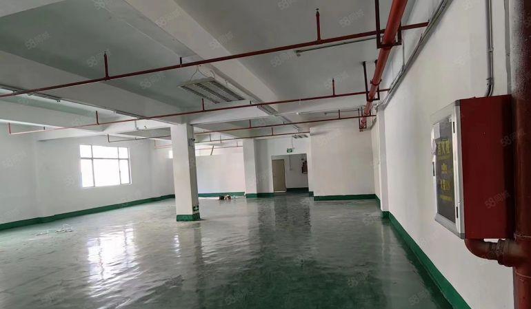 坂田厂房出租1楼至6楼200平起租可办公物流仓库汽修展厅等