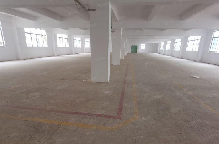 龙岗宝龙工业区原房东6000平厂房仓库出租500平起分租