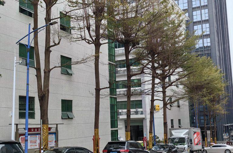 可分租原房东直租坂田利金城工业园带装修红本厂房出租1000平