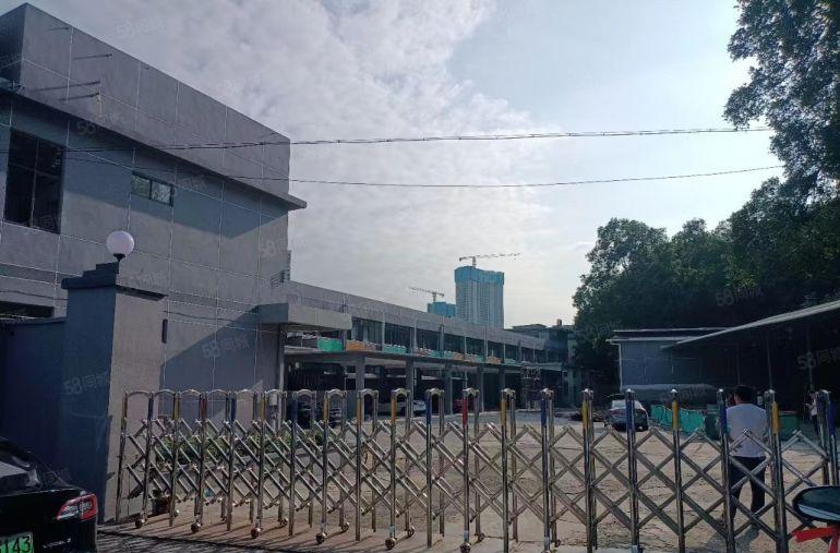 出租平湖山厦20000平方厂房出租仓库招租带现成装修