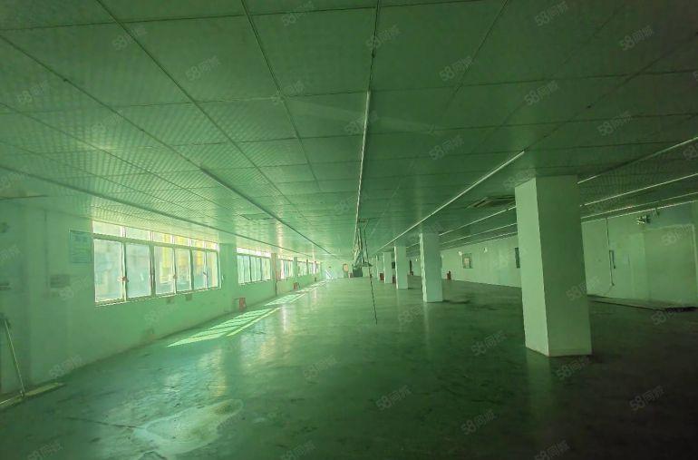 20元起租龙岗原房东工业园独门独院6000平厂房出租可分租