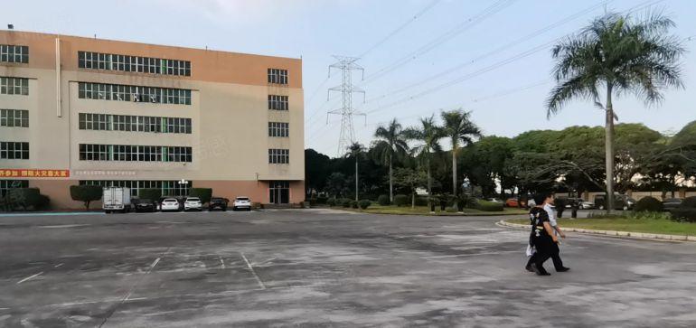 独门独院！平湖原房东6000平实际面积出租！200平起分