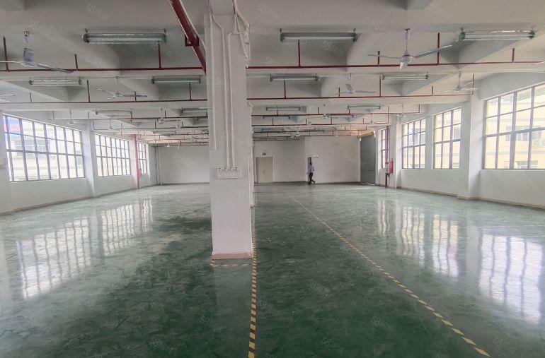 横岗原房东12元起低价厂房仓库一楼楼上1000平200平分租